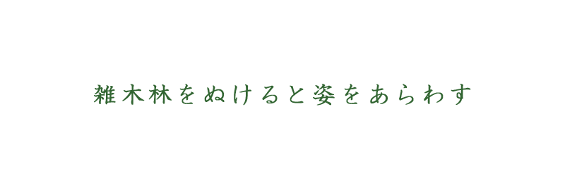 セリフ「雑木林をぬけると姿をあらわす」