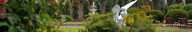 ばら苑の風景（真っ白な彫像とバラと芝生）